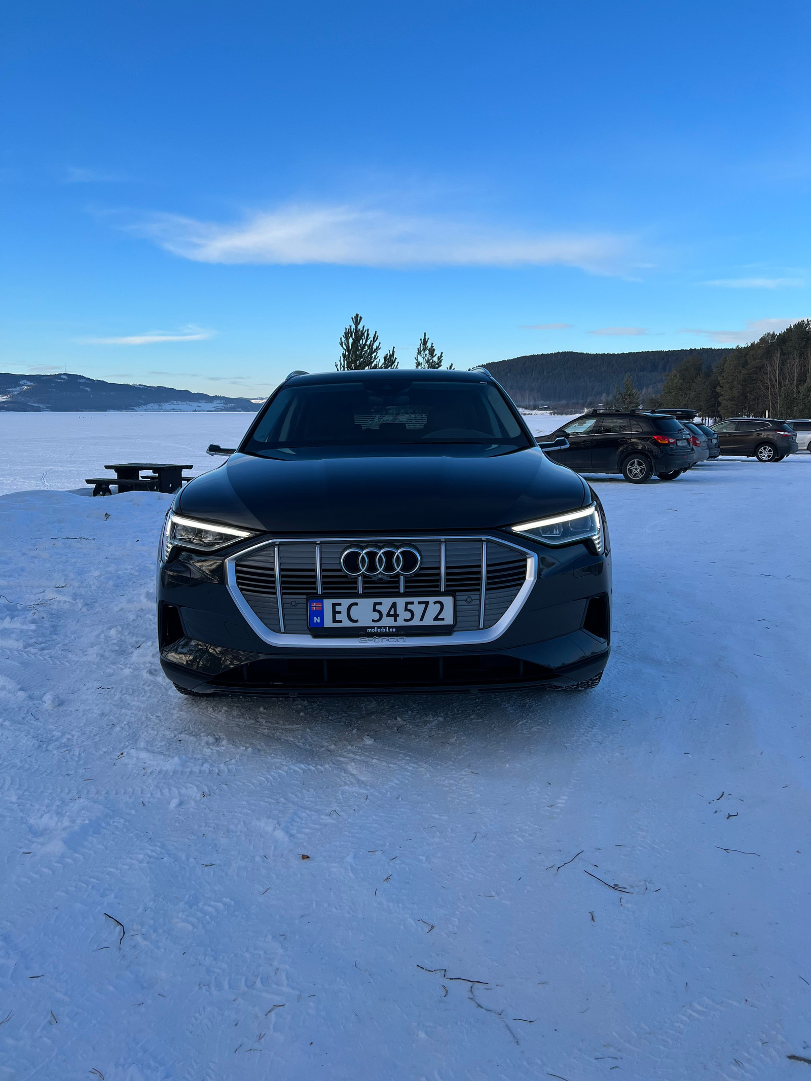 Audi e-tron