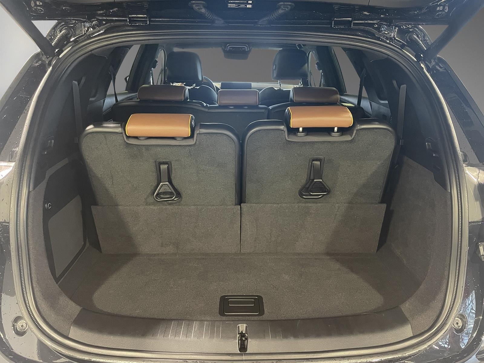 BYD Tang