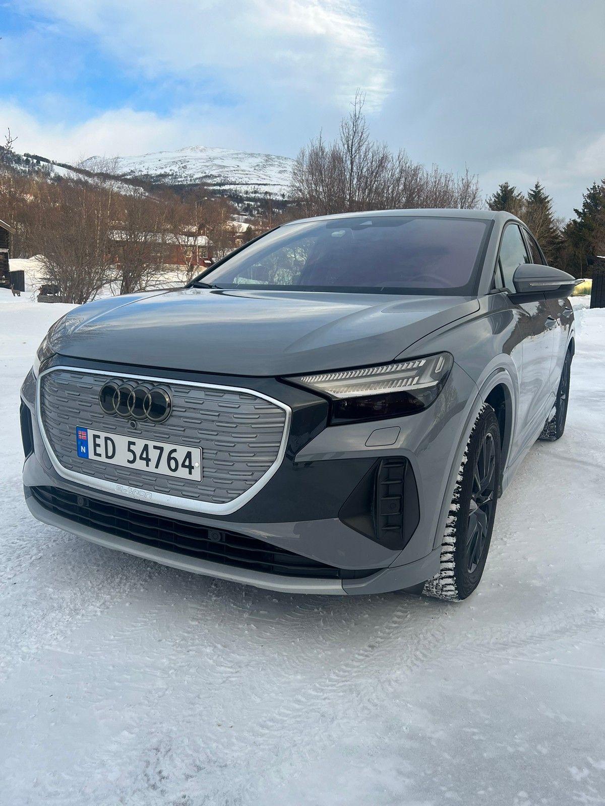 Audi Q4 e-tron