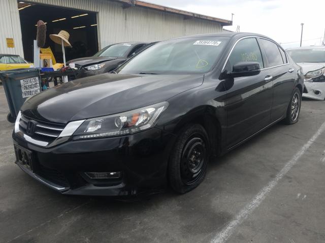 Honda Accord EXL 2013