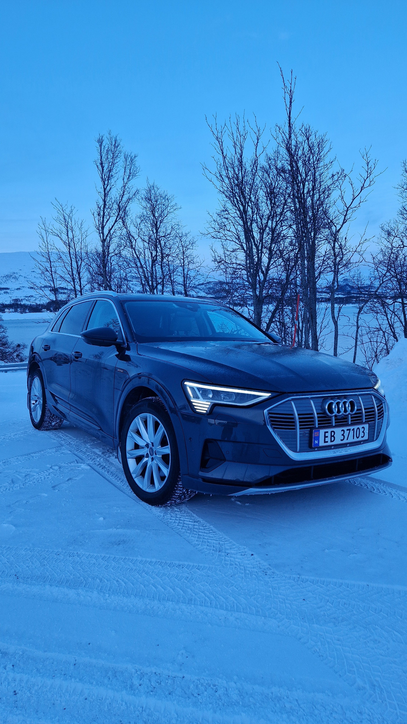Audi e-tron