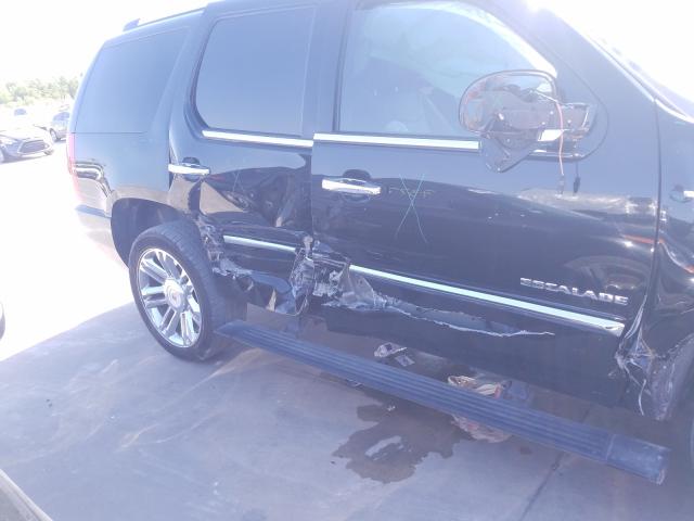 Cadillac Escalade P 2013
