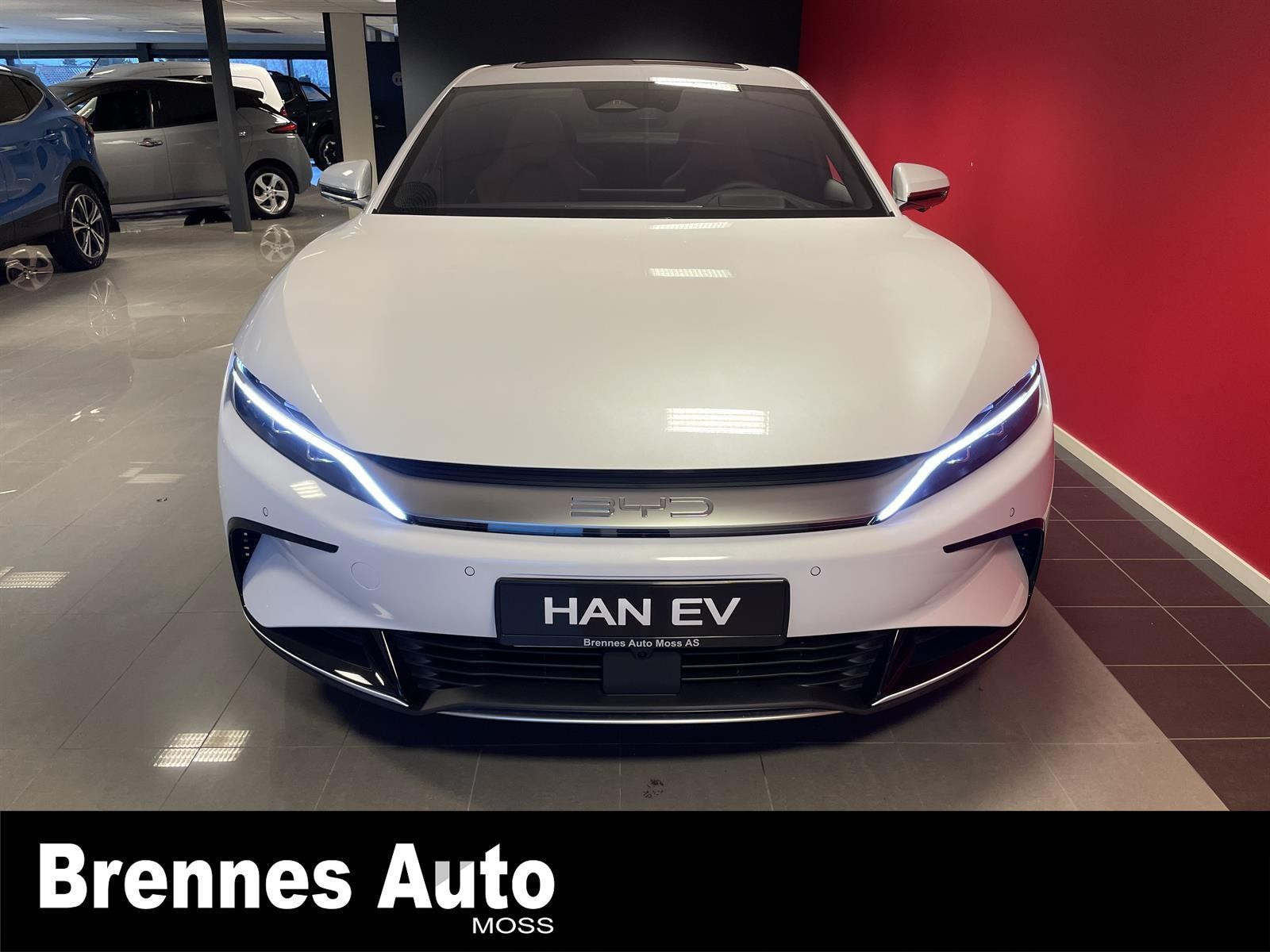 BYD Han