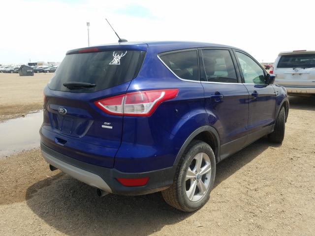 Ford Escape SE 2013