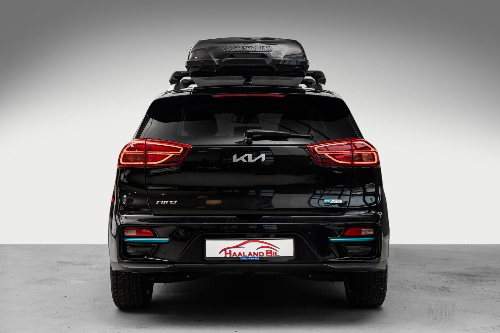 Kia E-Niro