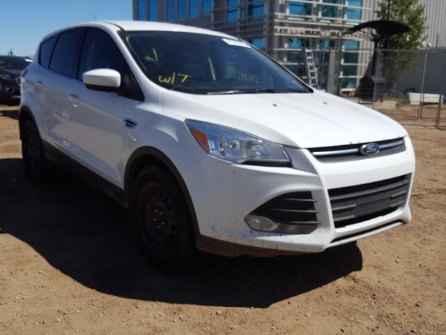 Ford Escape SE 2015