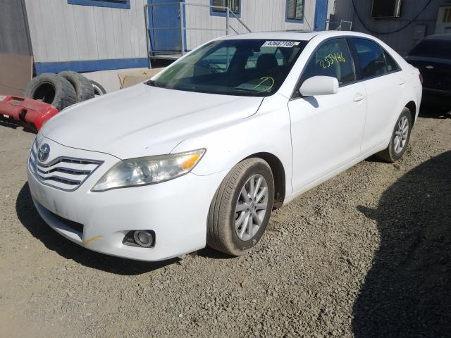 Toyota Camry Base 2011