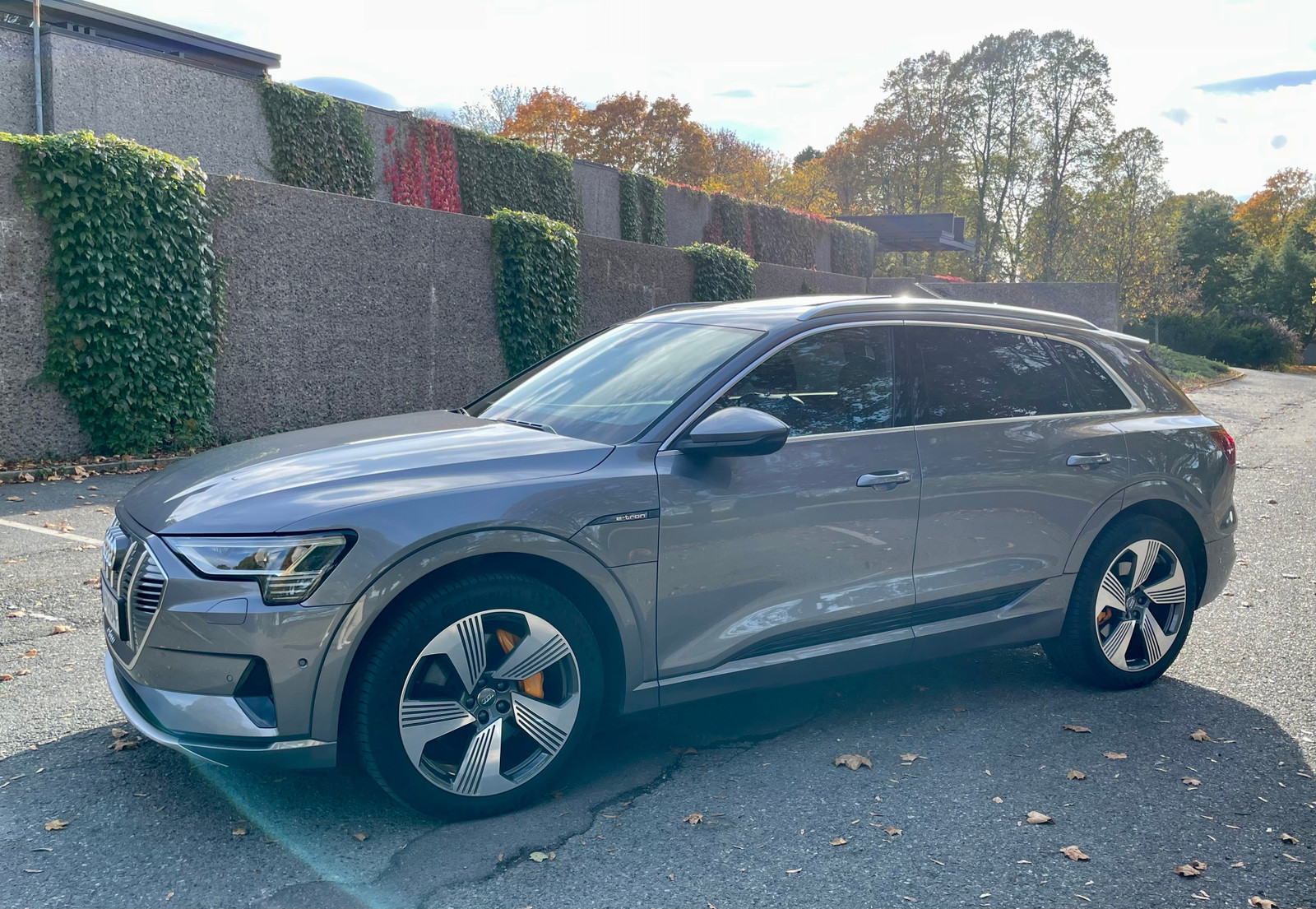 Audi e-tron