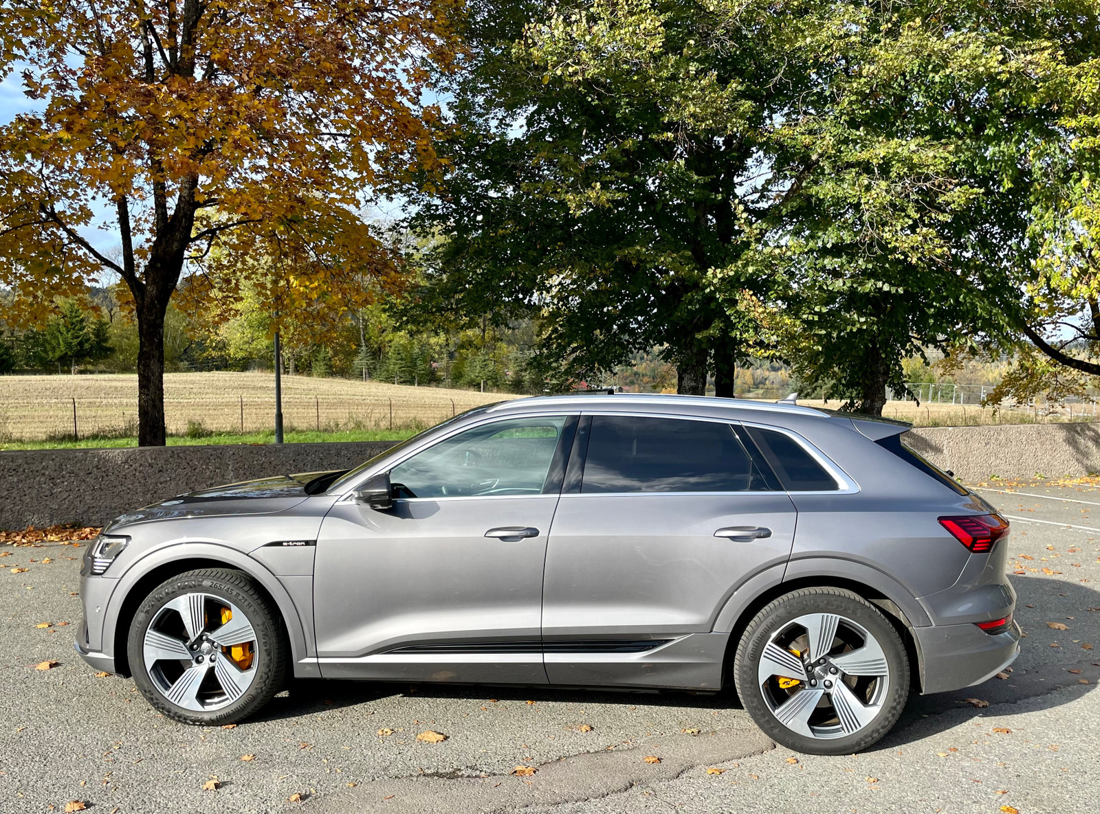 Audi e-tron