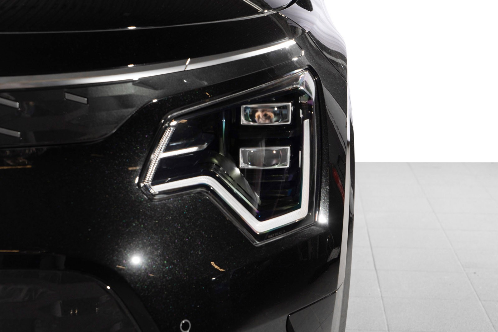 Kia E-Niro