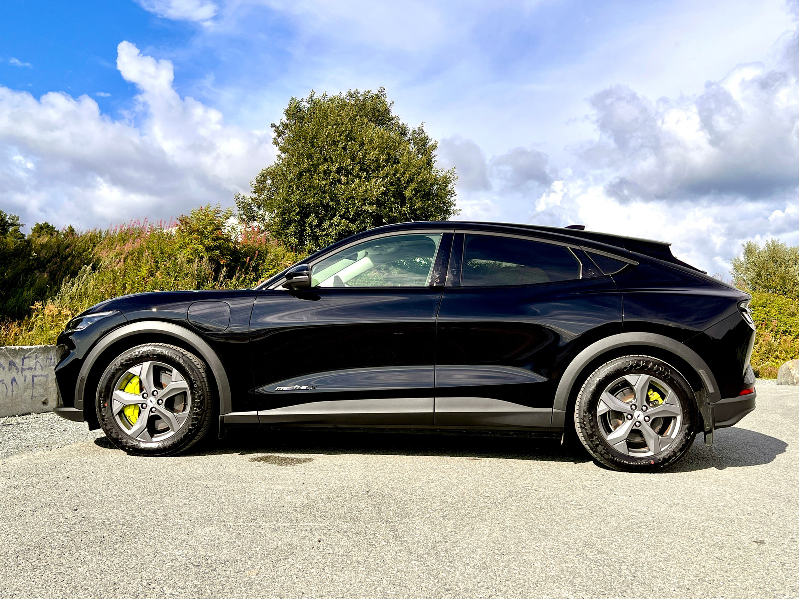 Ford Mustang Mach-E
