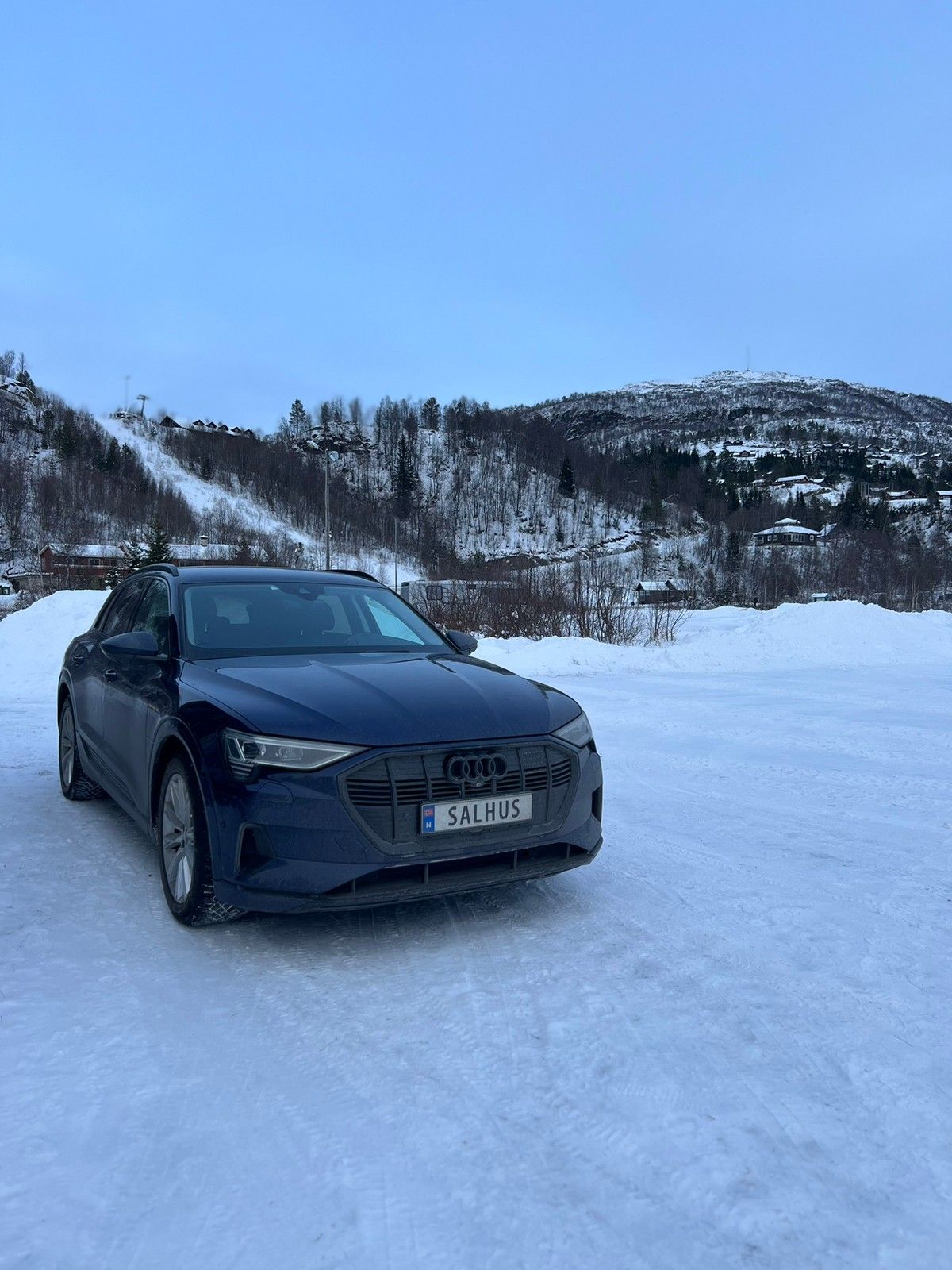 Audi e-tron