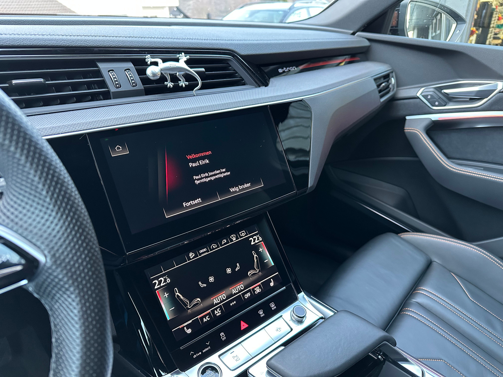 Audi e-tron