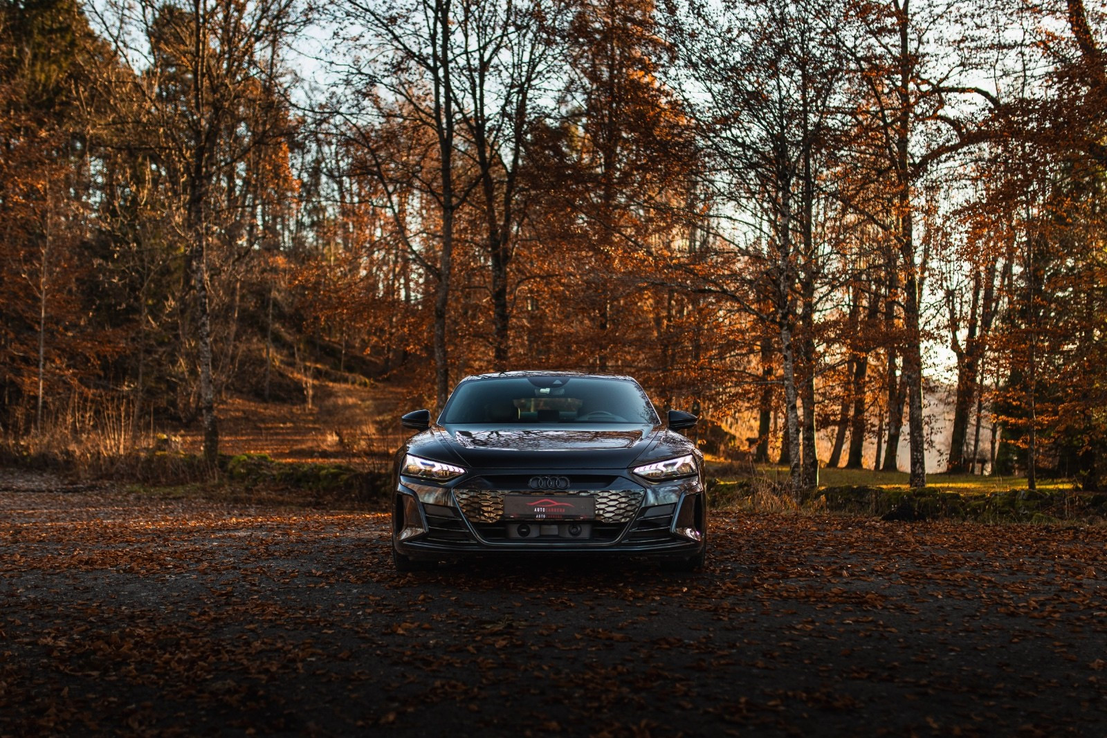 Audi e-tron GT