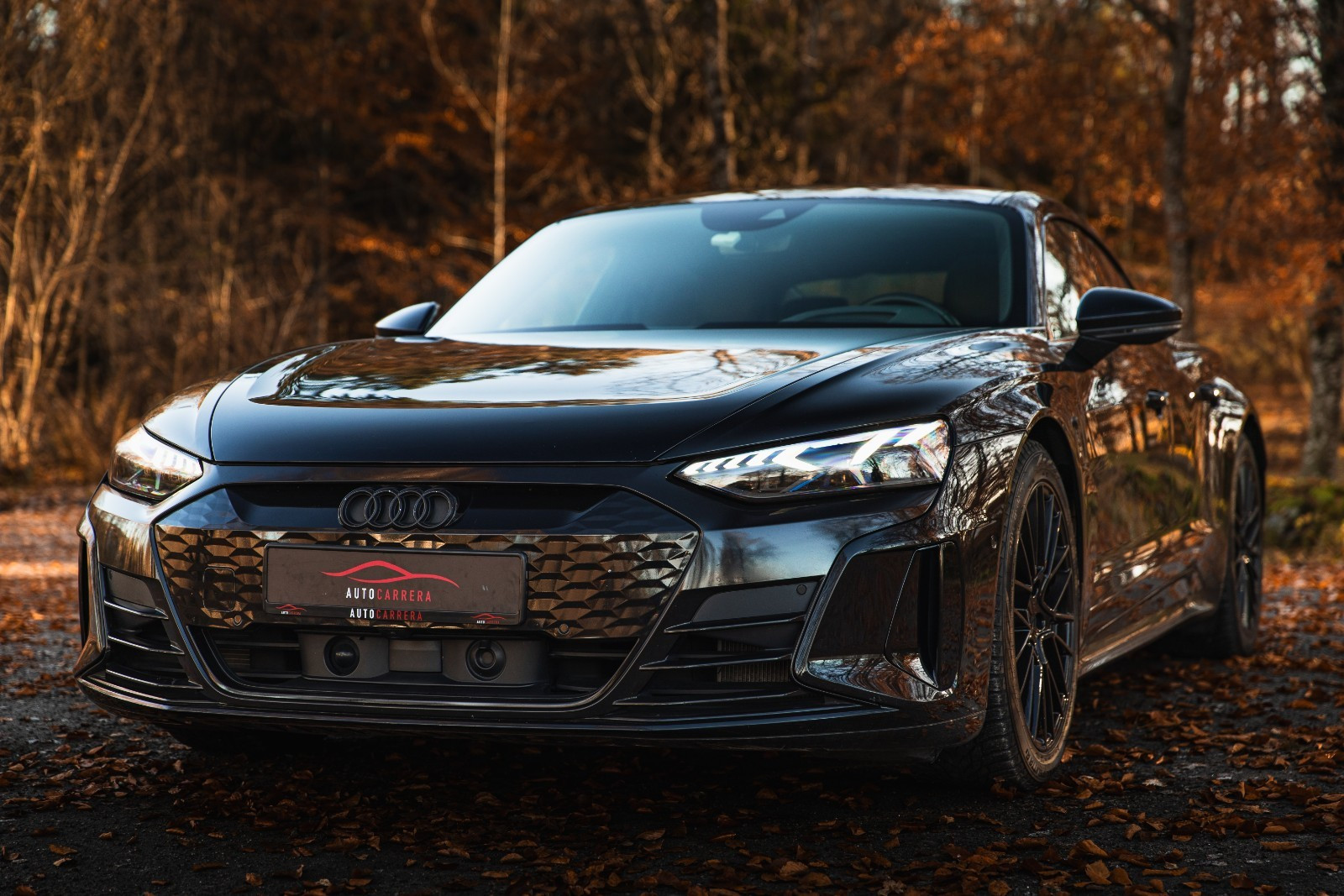 Audi e-tron GT