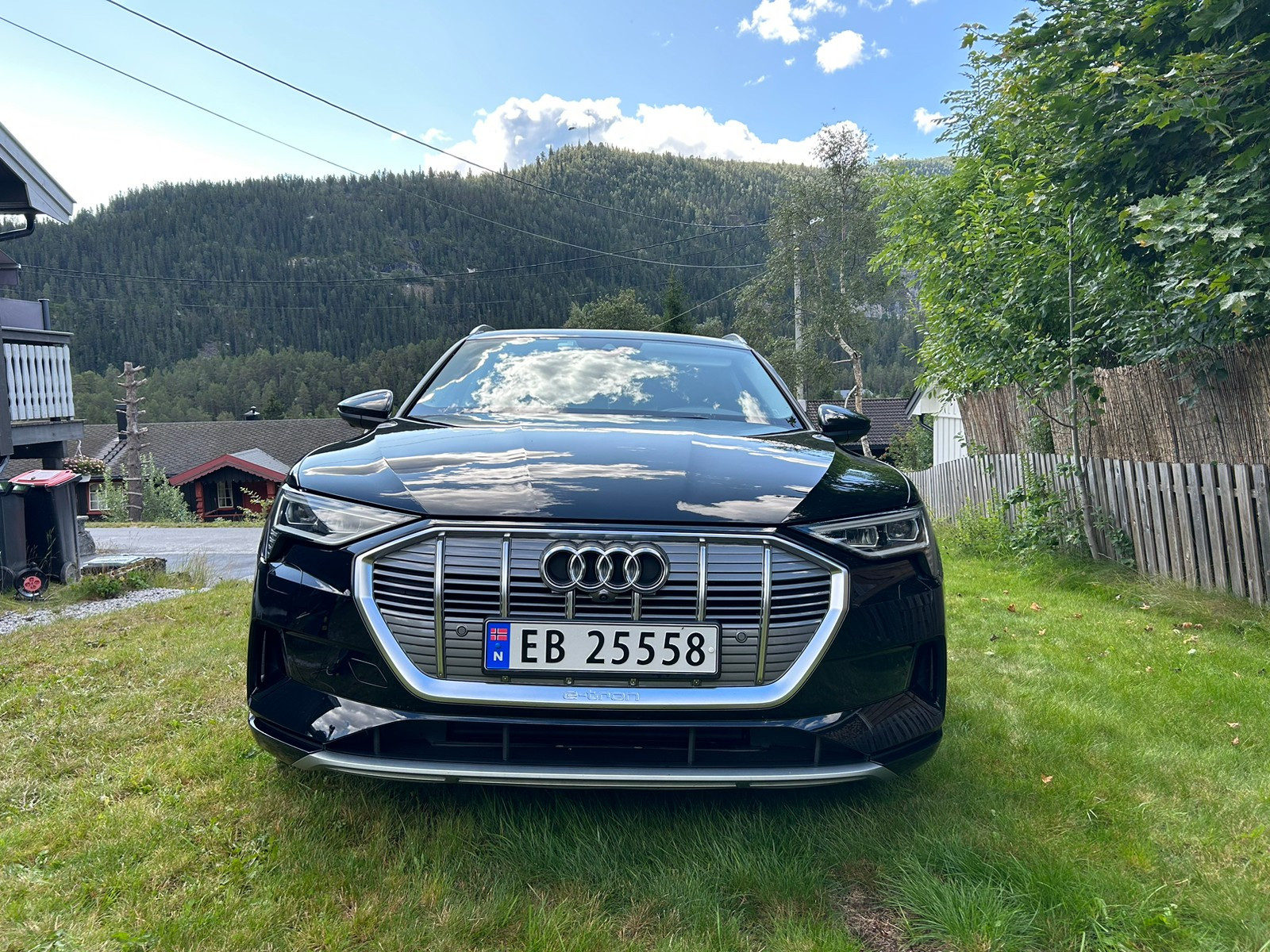 Audi e-tron