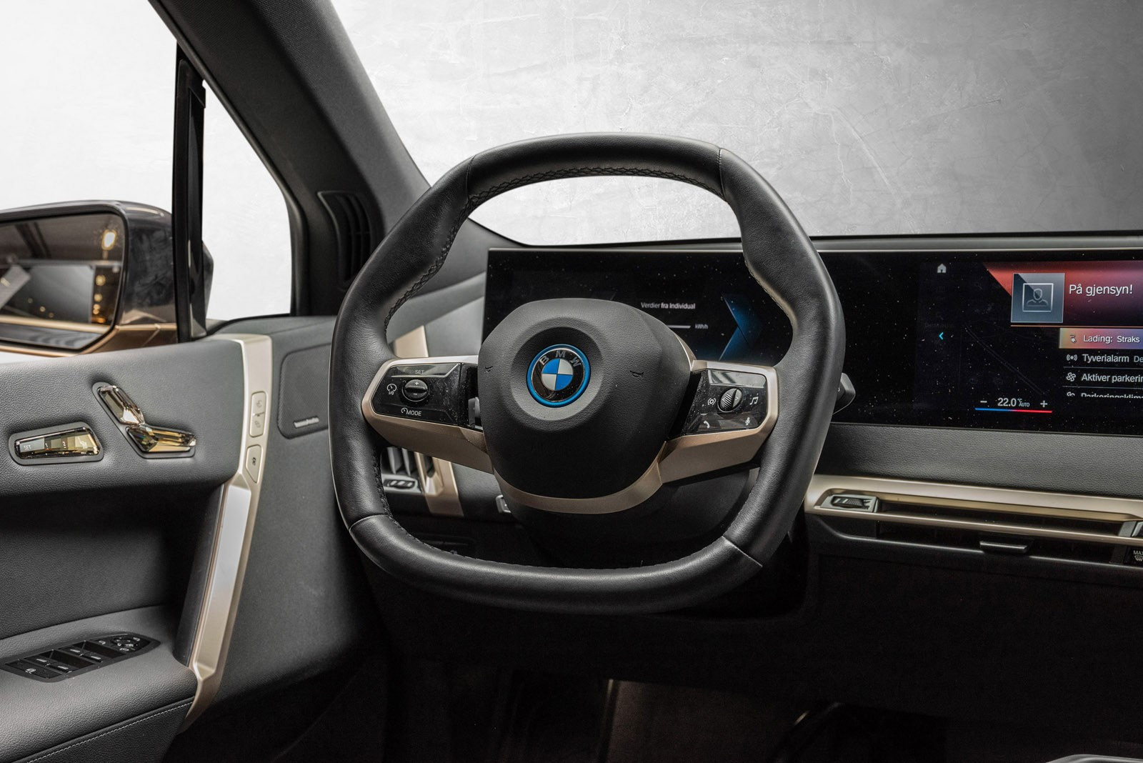 BMW iX xDrive 40