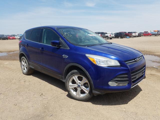 Ford Escape SE 2013