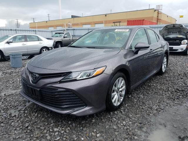 Toyota Camry L 2019