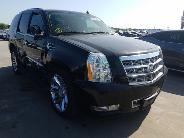 Cadillac Escalade P 2013