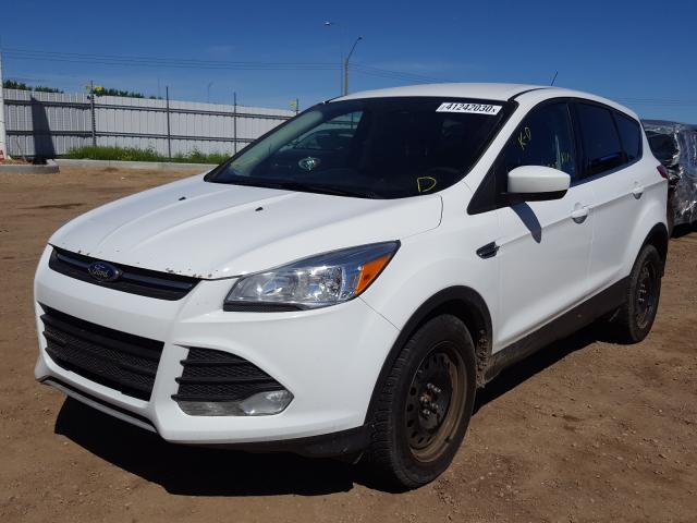 Ford Escape SE 2015