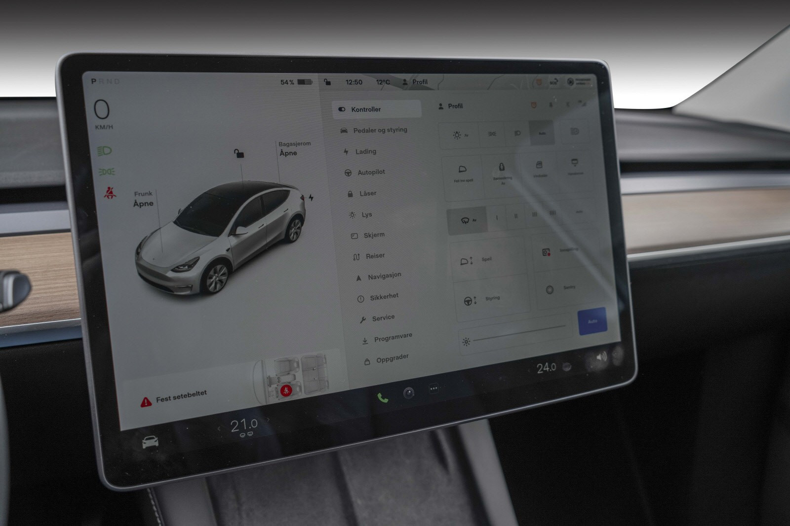2021 Tesla Model Y