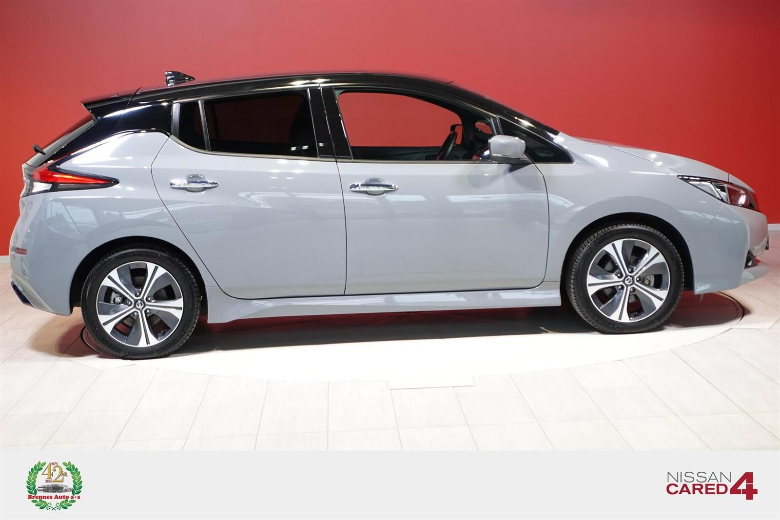 2021 Nissan Leaf