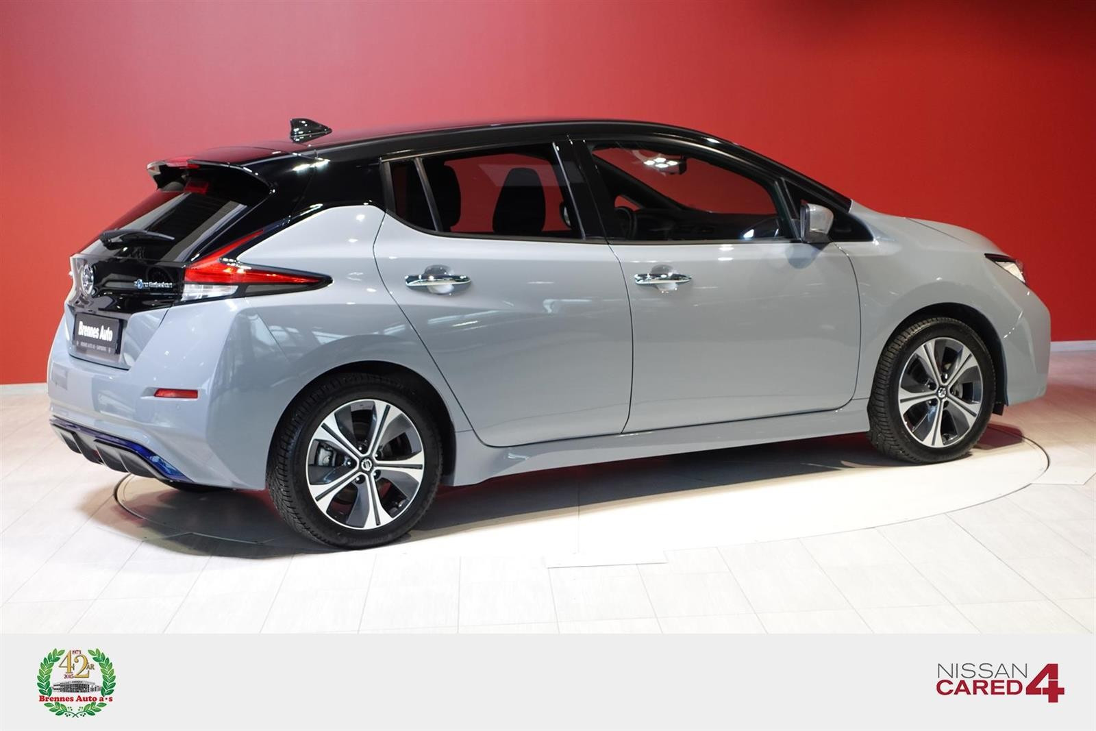 2021 Nissan Leaf