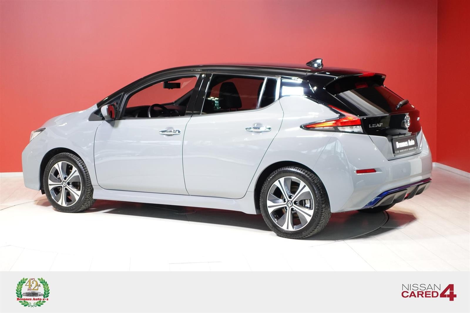 2021 Nissan Leaf