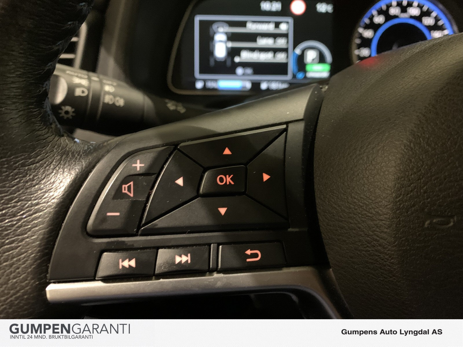 2020 Nissan Leaf