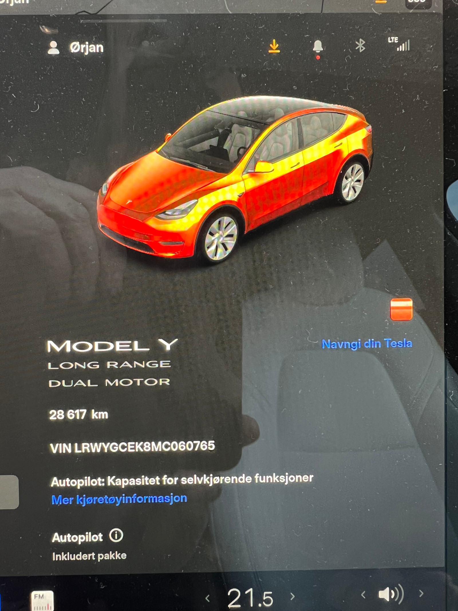 2021 Tesla Model Y