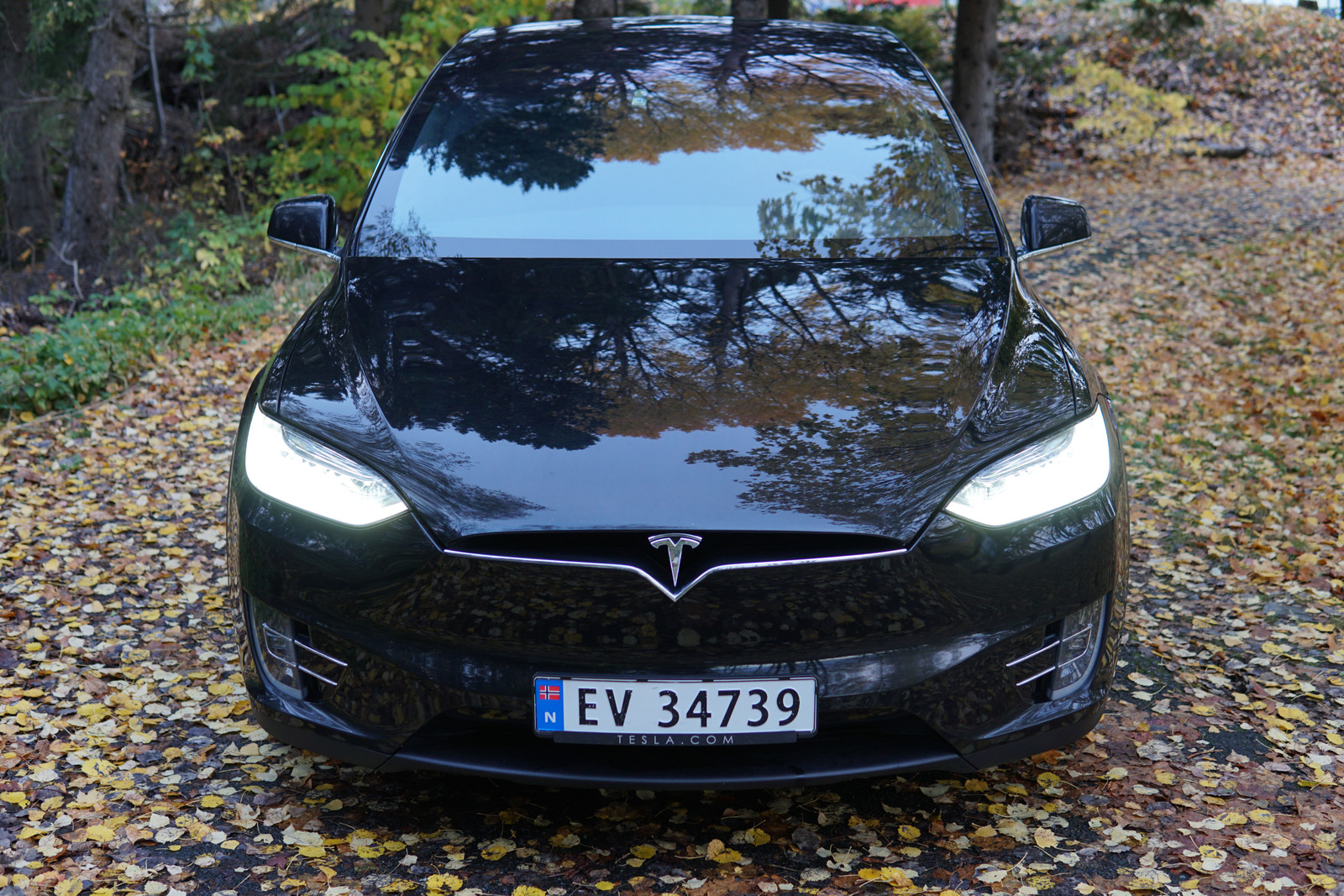 2019 Tesla Model X