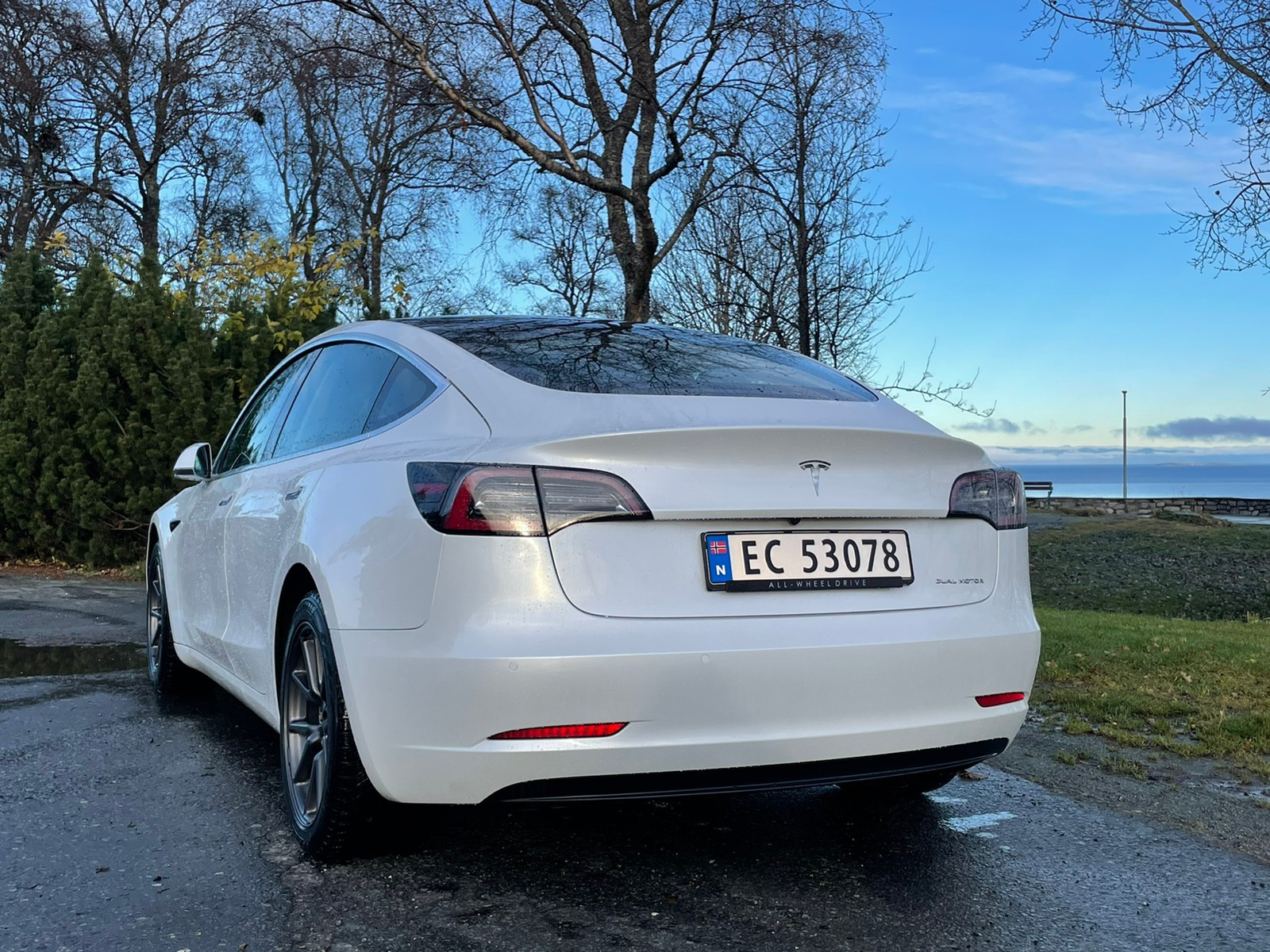 2020 Tesla Model 3