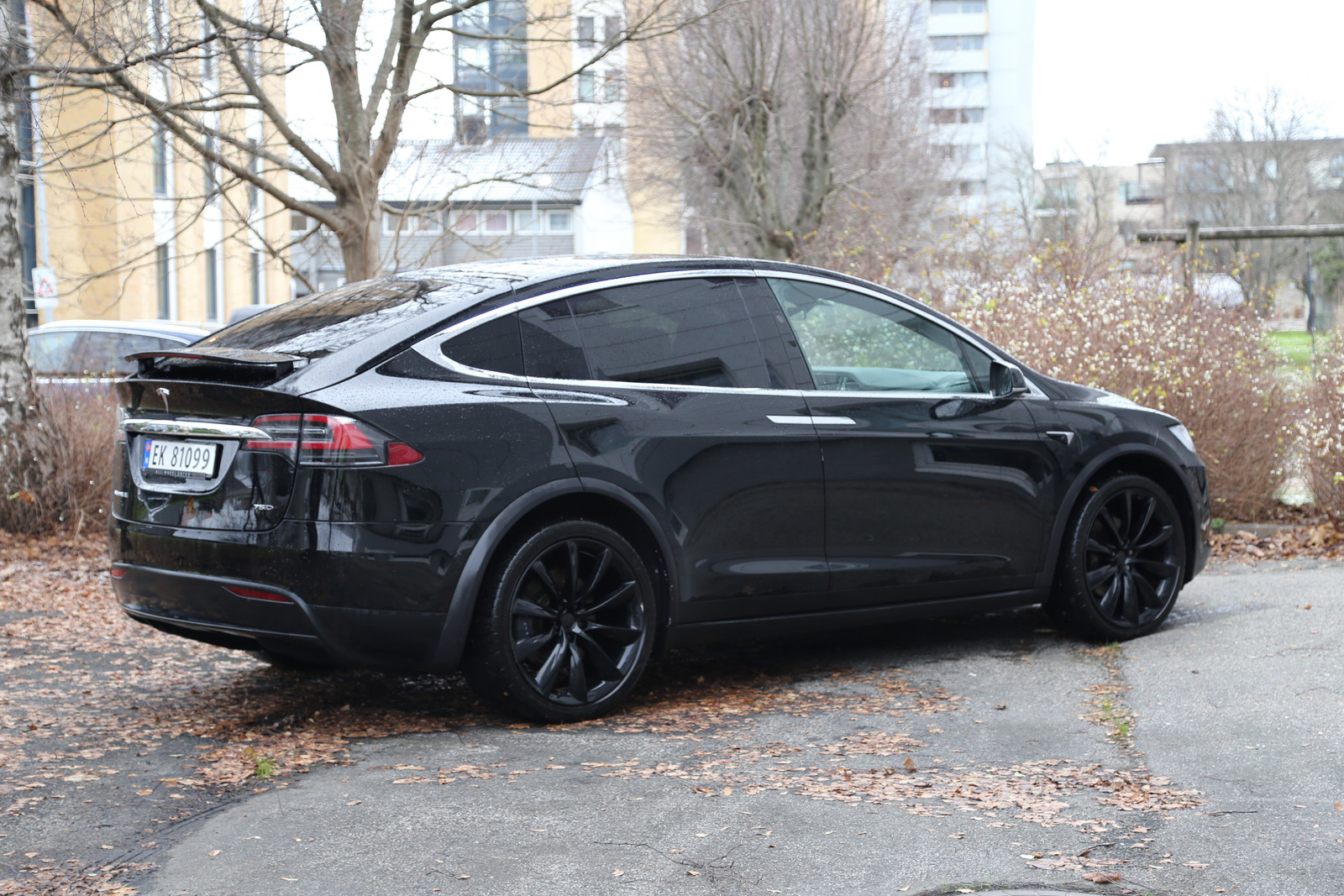 2018 Tesla Model X