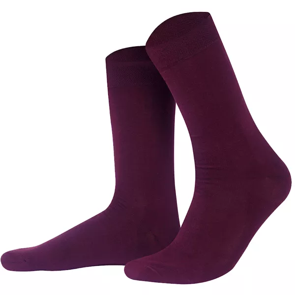 Шкарпетки REXXON сливові р-р 41-46 (459 41-46 7465) (371853) Шкарпетки REXXON сливові р-р 41-46 (459 41-46 7465) (371853)