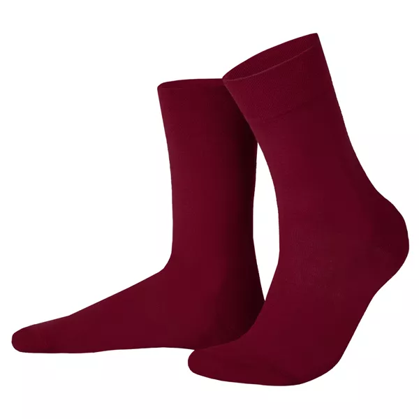 Шкарпетки REXXON вишня р-р 41-46 (459 41-46 5111) (370993) Шкарпетки REXXON вишня р-р 41-46 (459 41-46 5111) (370993)