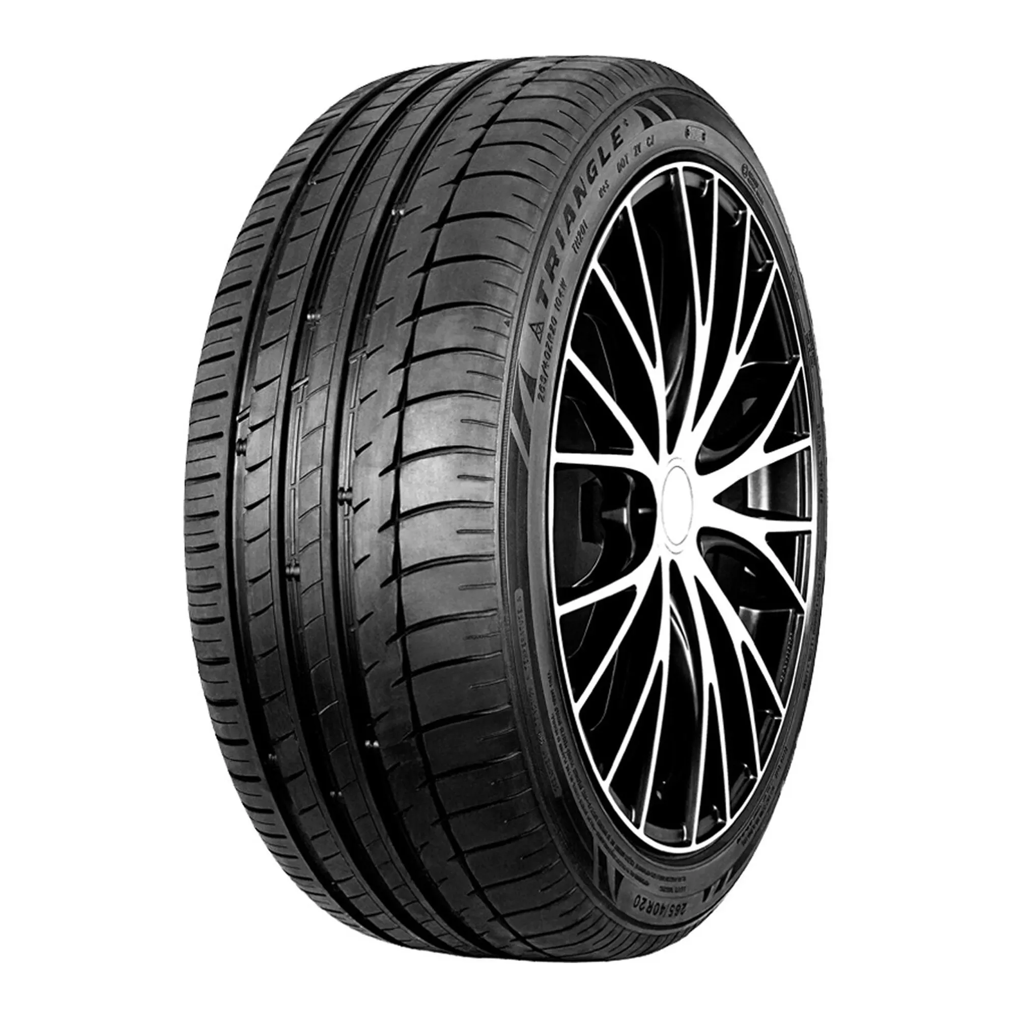 Шина 255/40R19 TRIANGLE TH201 100Y