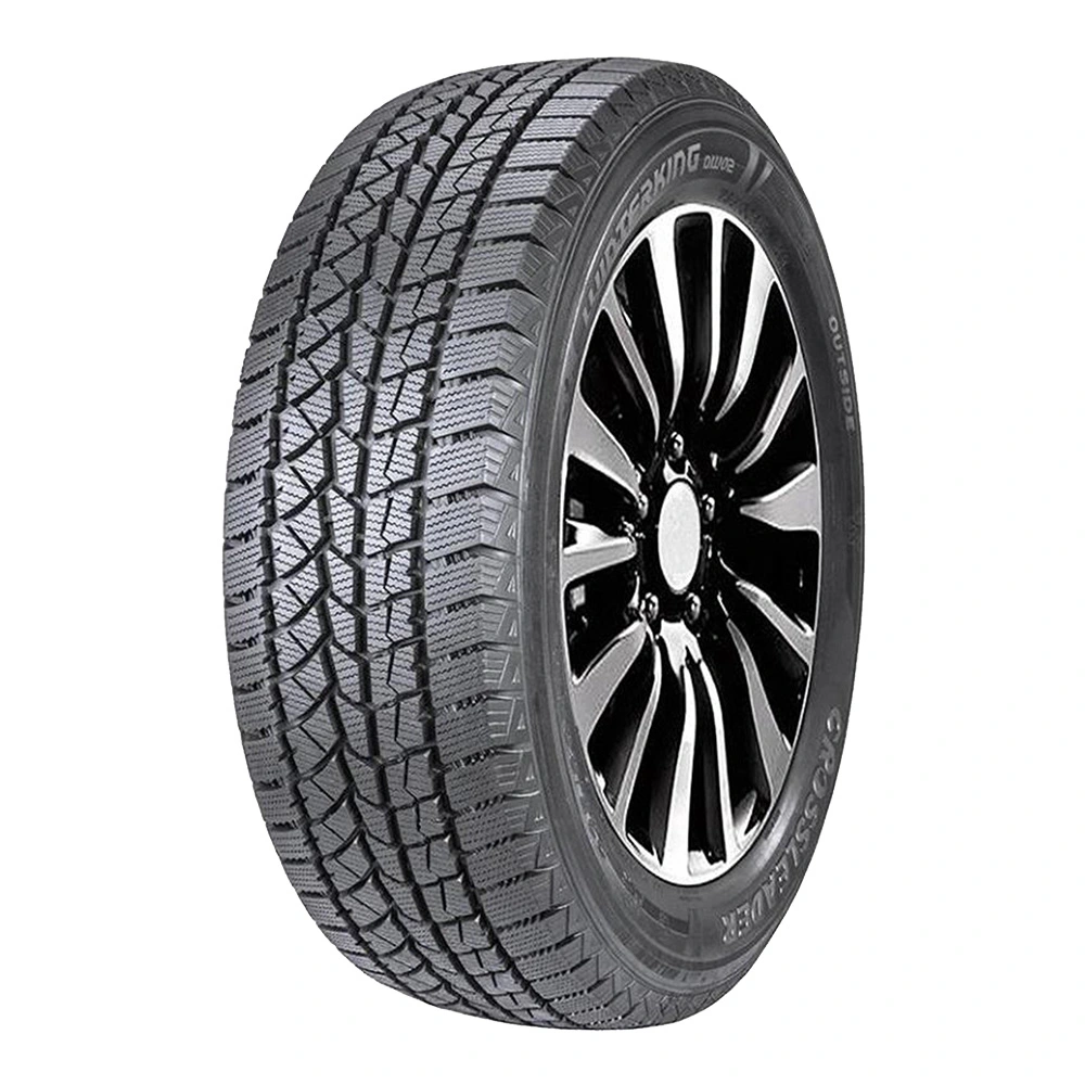Шина Doublestar WINTERKING DW02 TL 225/55R18 98S