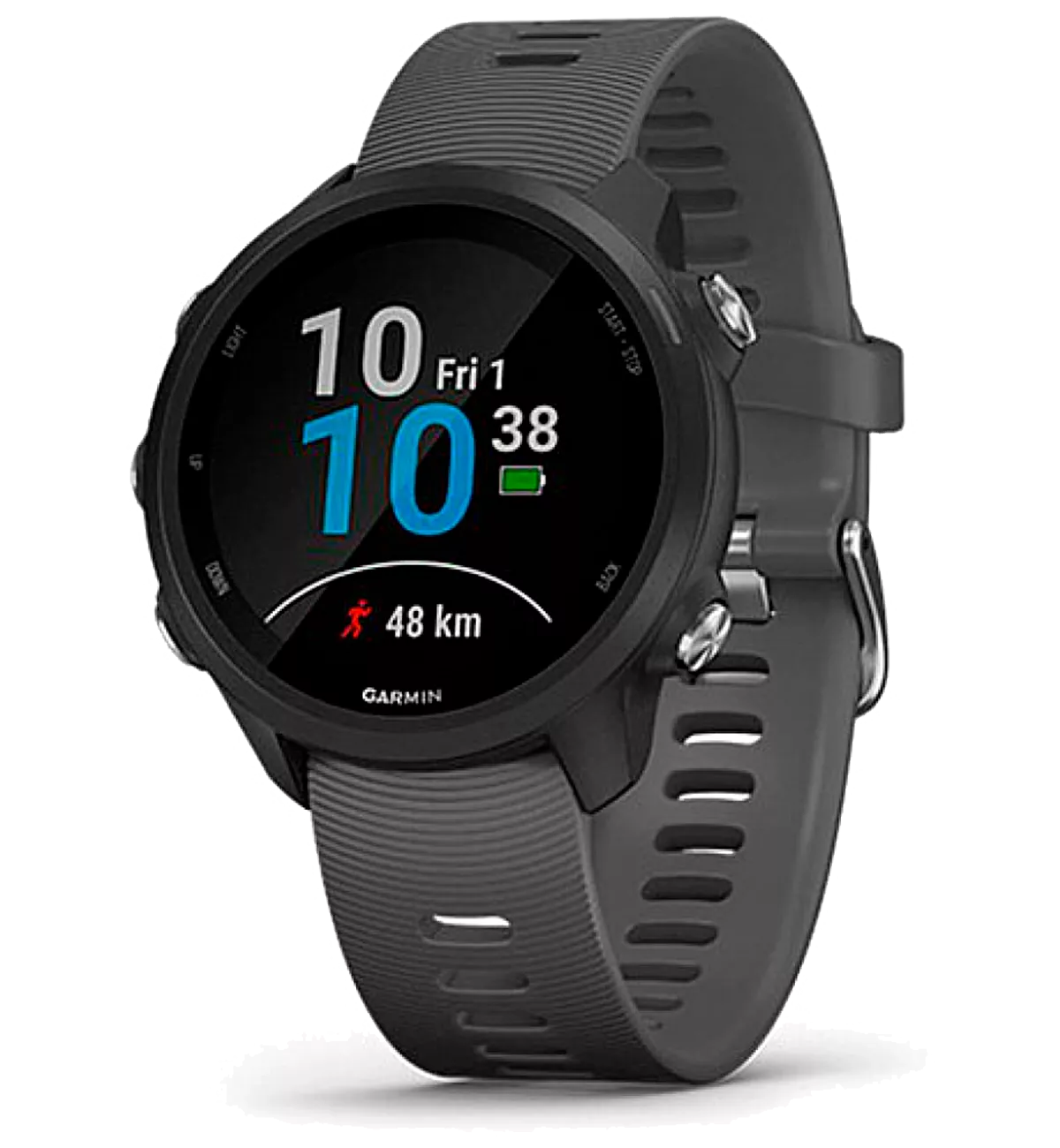 Смарт-часы Garmin Forerunner 245 Slate Gray (010-02120-10)