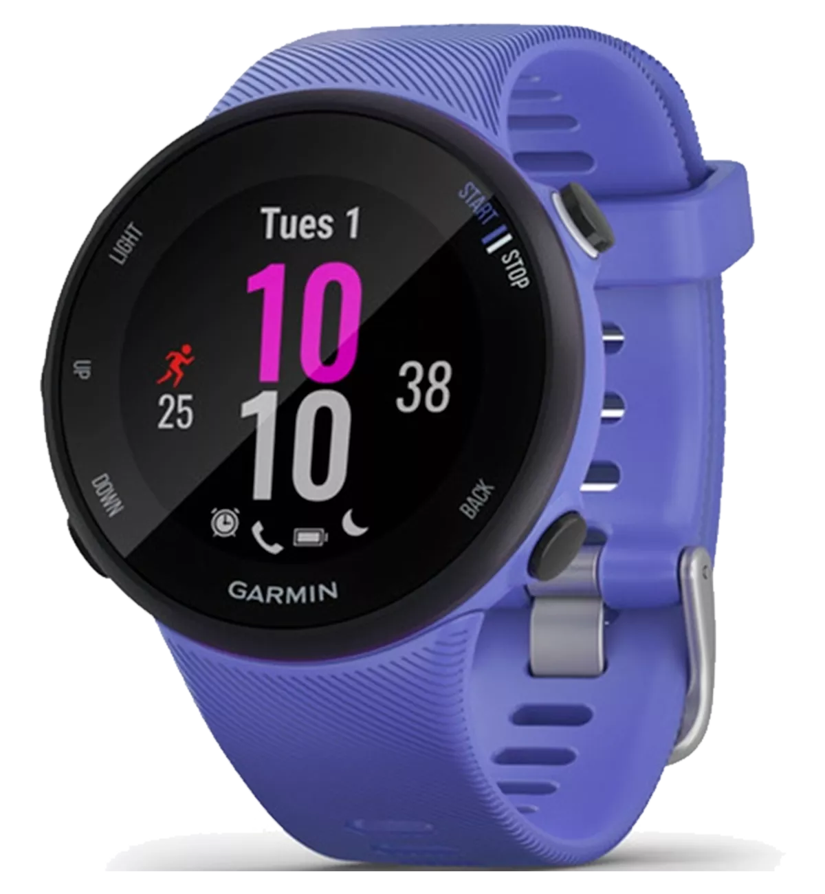 Смарт-годинник Garmin Forerunner 45 GPS Small Iris (010-02156-11)