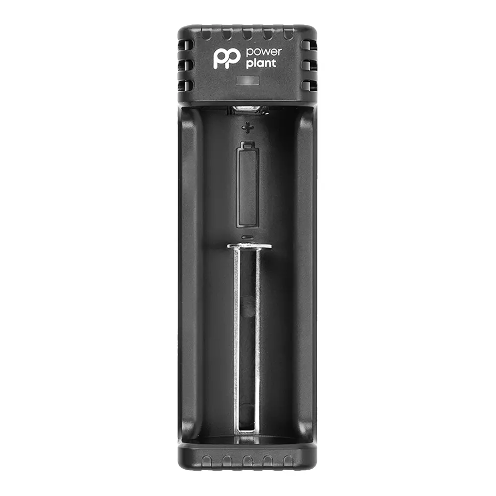 Зарядное устройство PowerPlant для аккумуляторов AA, AAA/PP-U1BS (AA620197) Зарядное устройство PowerPlant для аккумуляторов AA, AAA/PP-U1BS (AA620197)