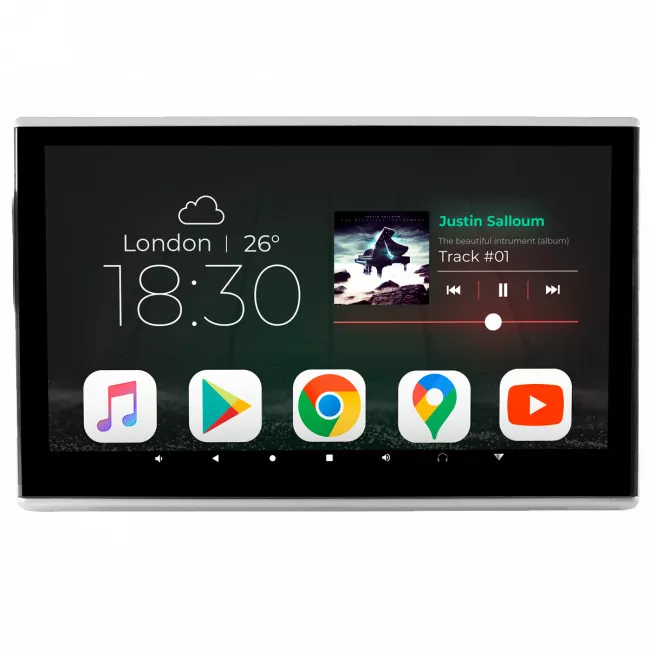 Универсальный монитор Gazer HR250