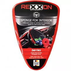 Губка Rexxon 2-4-0-0-1 (112419)