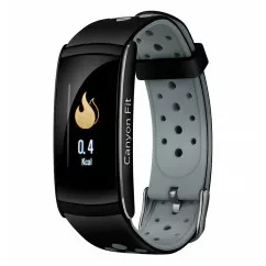 Фитнес-браслет Canyon CNS-SB41 Black/Gray
