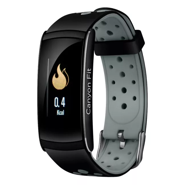 Фитнес-браслет Canyon CNS-SB41 Black/Gray