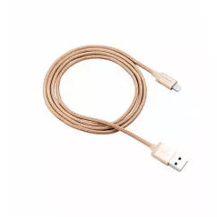Кабель Canyon USB - Lightning 1м, Gold (CNS-MFIC3GO)