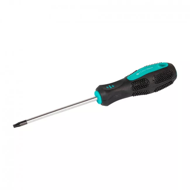 Викрутка MASTER TOOL TORX TT20*100 (49-0201) Викрутка MASTER TOOL TORX TT20*100 (49-0201)