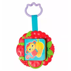 Прорезыватель Playgro Книжка (0185483)