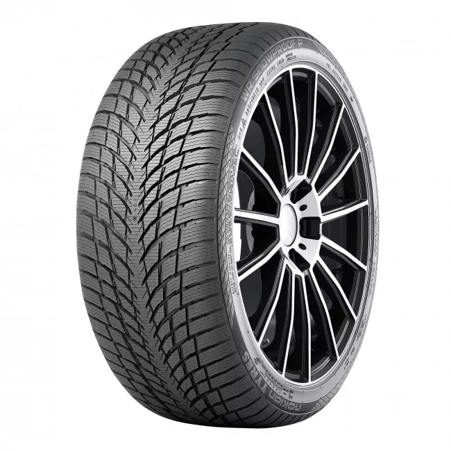 Шина Nokian WR Snowproof P 255/40R18 99V XL