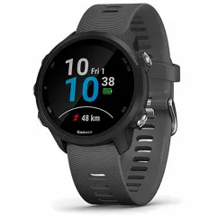 Смарт-часы Garmin Forerunner 245 Slate Gray (010-02120-10)